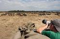 068 Kenia, Masai Mara, migratie gnoes